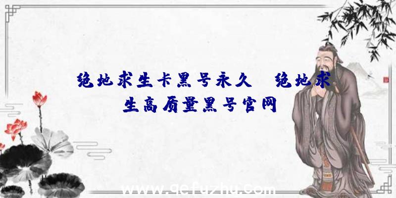 「绝地求生卡黑号永久」|绝地求生高质量黑号官网